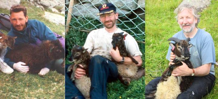 Three decades of Ken and Soay sheep! 