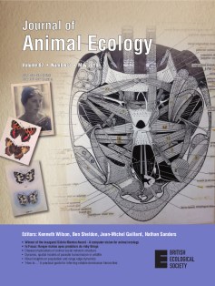 87_i3_Cover