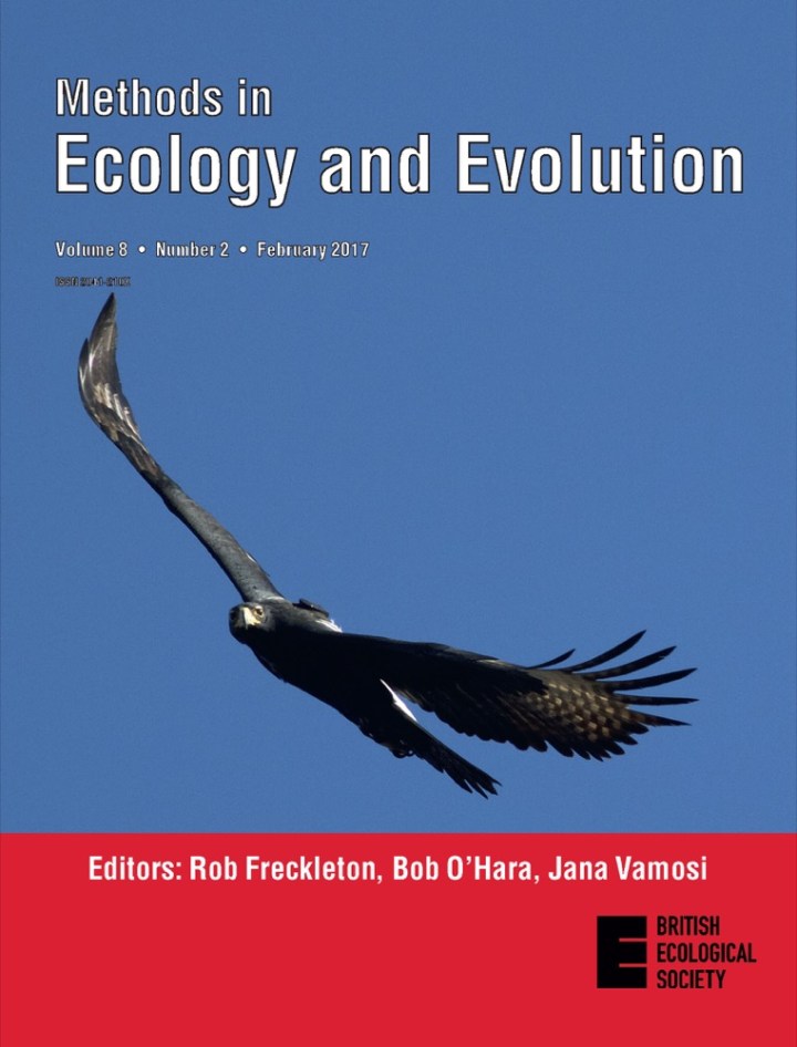 04MEE_Issue 8.2 Cover_Verreauxs eagle