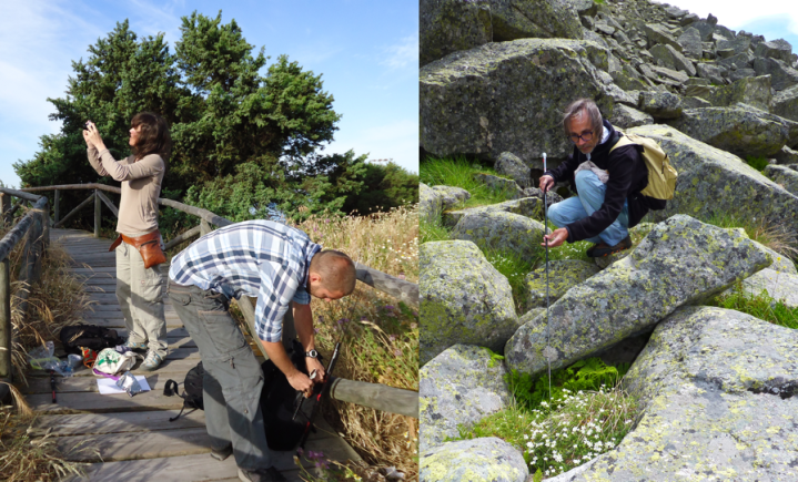 Fig 2 Fieldwork - Credit Gomes and Gomez-Lobo