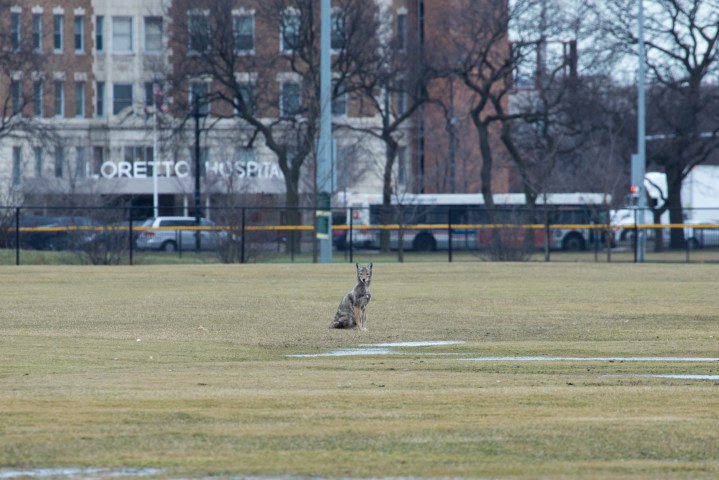 20170208_JF_UWI_fieldwork-19