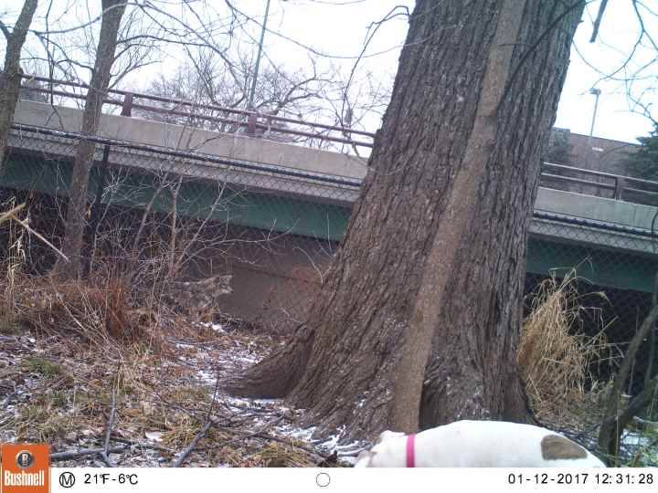 M2E60L173-173R395B312