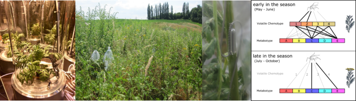 Collecting chemicals