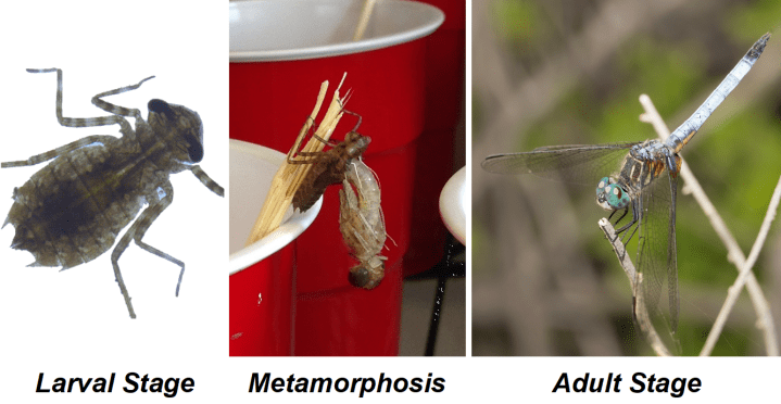 Figure 1 from Michael Moore