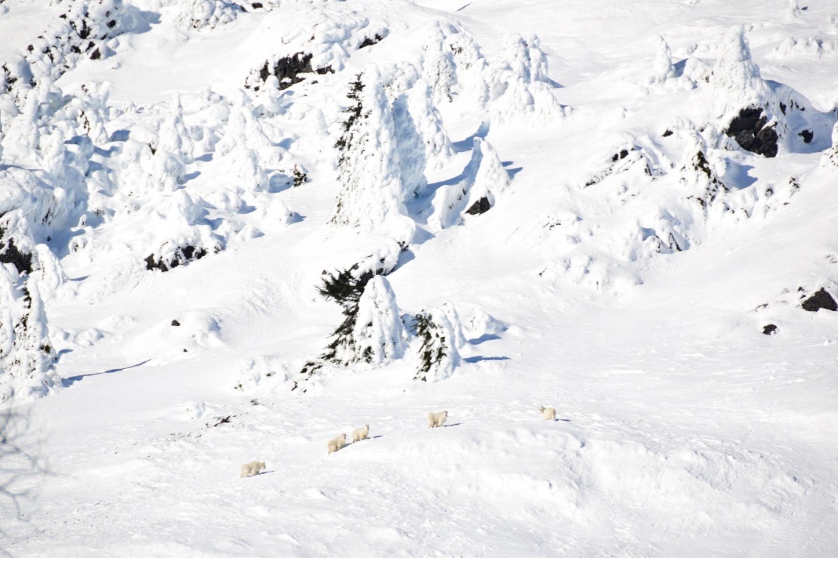 Mountain living shapes reproductive demography