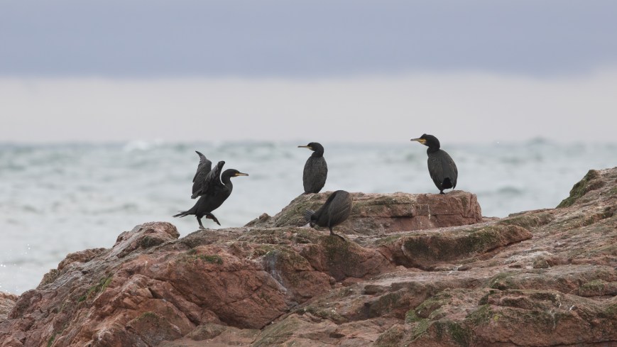 When biological theory doesn’t capture reality