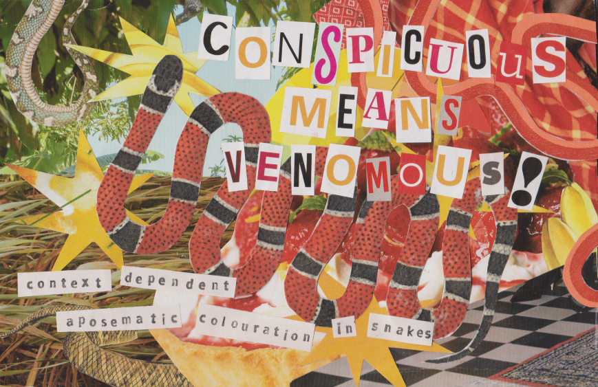 A Fair (Enough) Warning: Contextually Conspicuous Snake Species Are More Likely to Be Venomous!