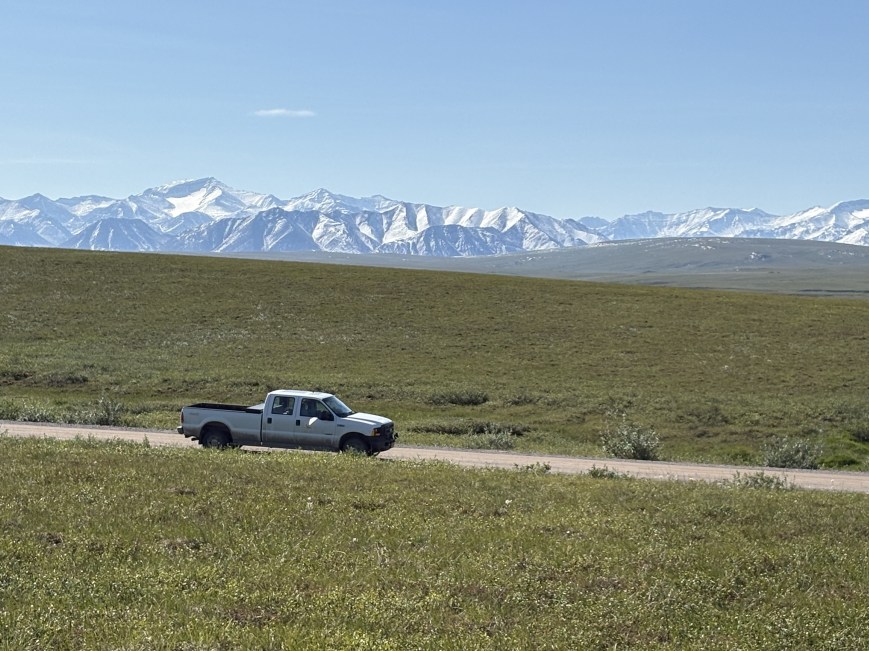 Arctic generalist predators rely more on plant-derived carbon as the tundra greens
